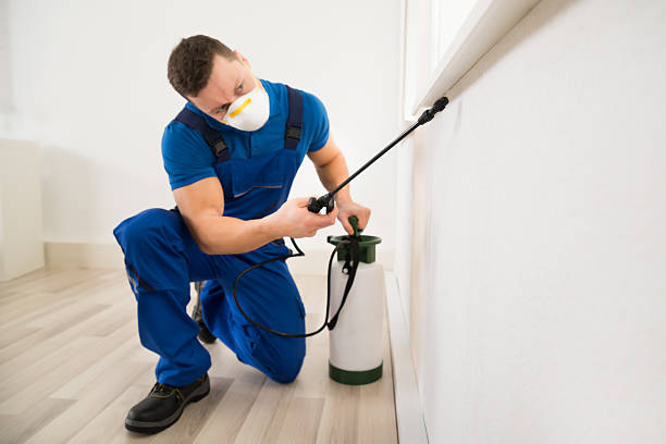 Pest Control Pest Control
