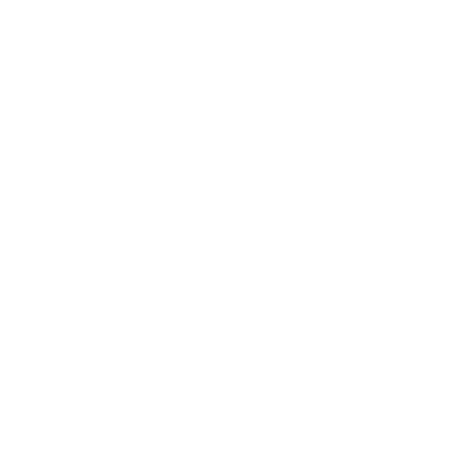 Google Local Service Ads (LSAs)