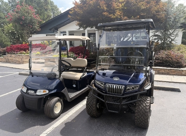 Why Golf Cart Businesses Pick Fast Hippo Media for Local SEO 2