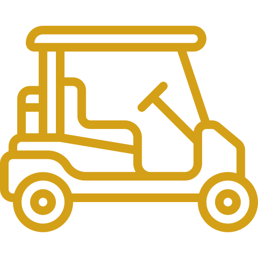 golf cart (8)